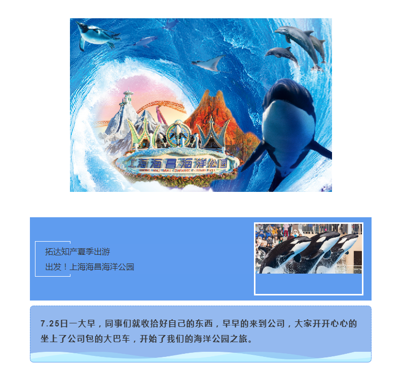 拓达知产夏季出游  出发！上海海昌海洋公园